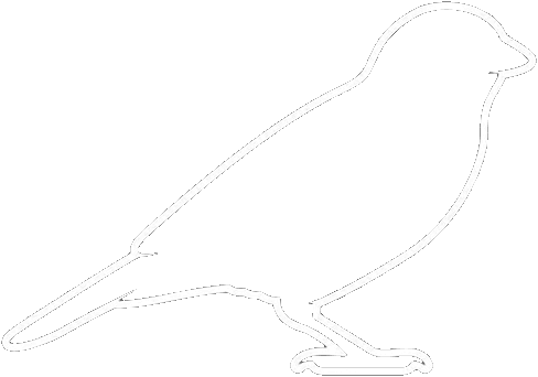Sparrow Logo